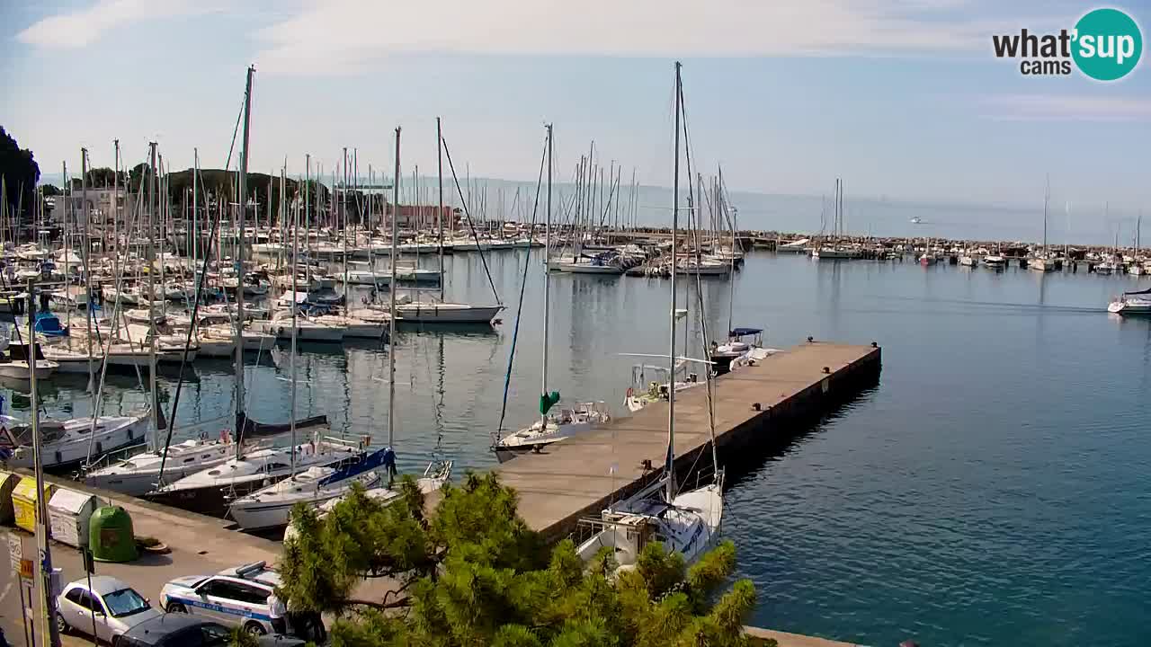 Webcam Bahía de Sistiana – Vista en directo del puerto deportivo y la costa