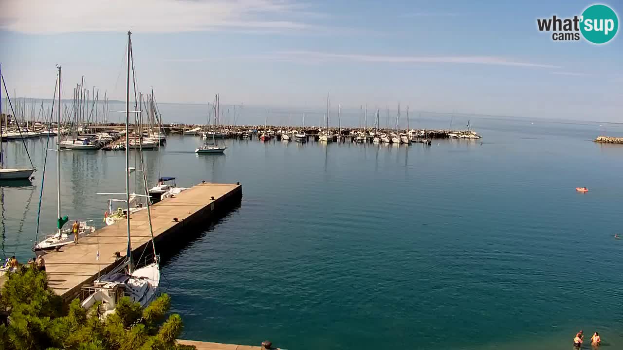 Webcam Sistiana Baia – Live View of the Marina and Gulf