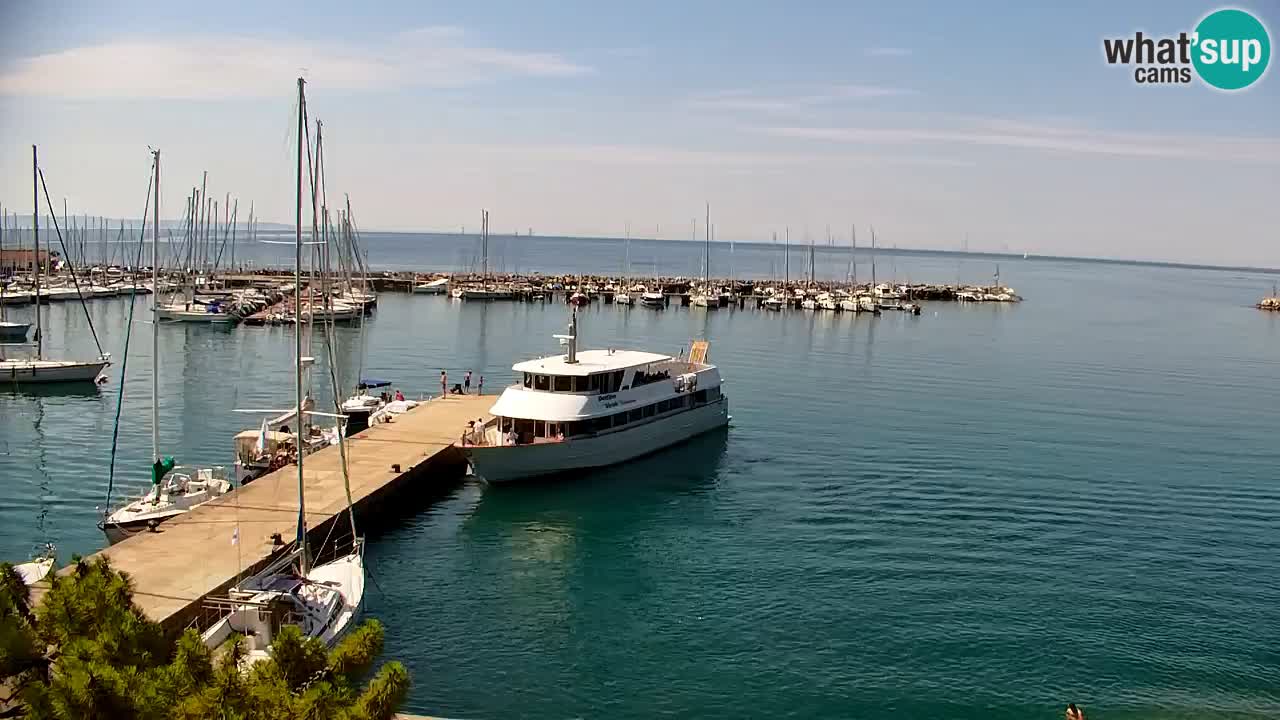 Webcam Sistiana Baia – Live View of the Marina and Gulf