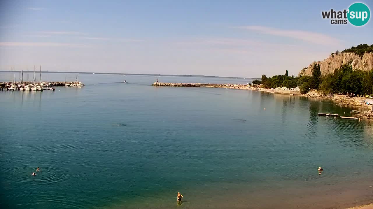 Webcam Sistiana Baia – Live View of the Marina and Gulf