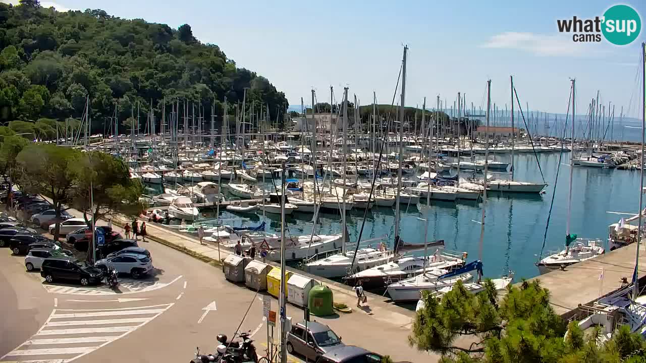 Webcam Sistiana Baia – Live View of the Marina and Gulf