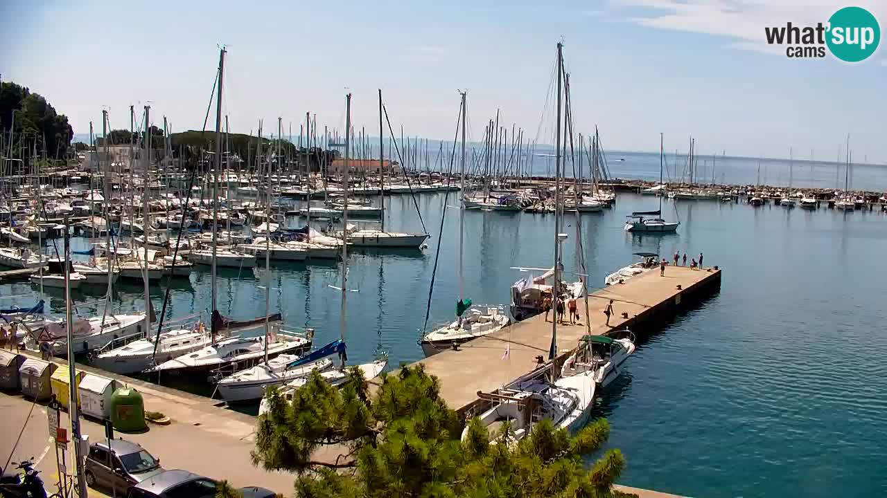 Webcam Sistiana Bucht – Liveblick auf Marina und Bucht