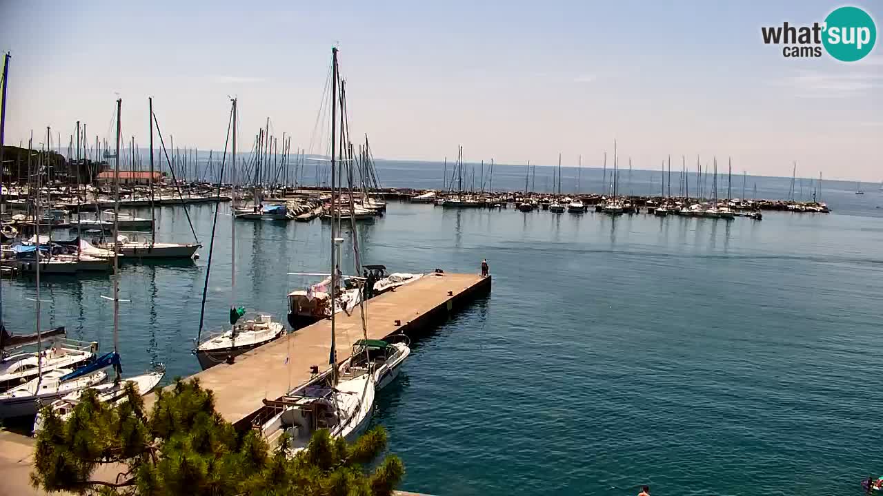 Web kamera Sistiana Uvala – Pogled uživo na marinu i zaljev