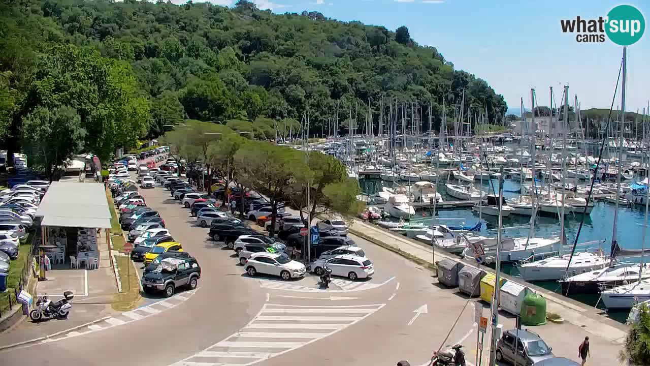 Webcam Sistiana Baia – Live View of the Marina and Gulf