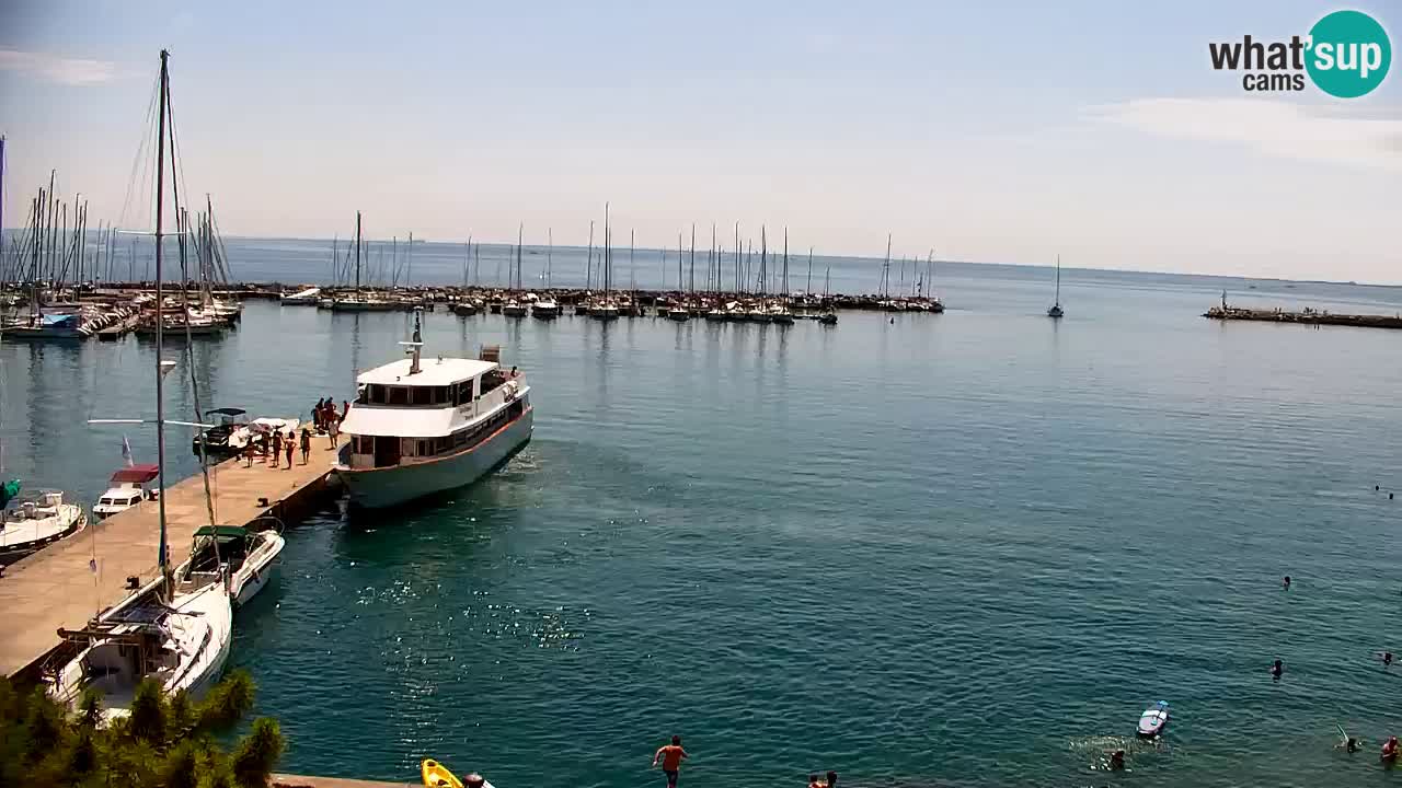 Webcam Sistiana Baia – Live View of the Marina and Gulf