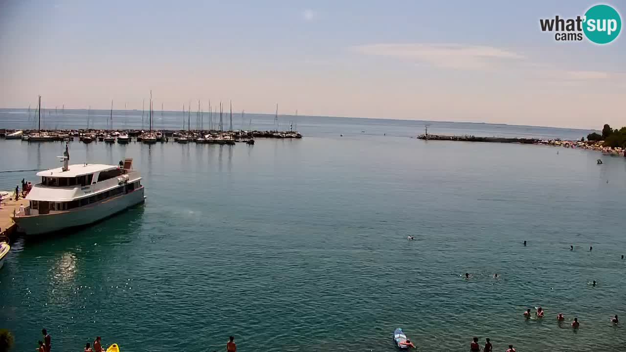 Webcam Sistiana Bucht – Liveblick auf Marina und Bucht