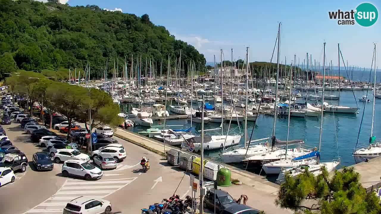Webcam Sistiana Baia – Live View of the Marina and Gulf