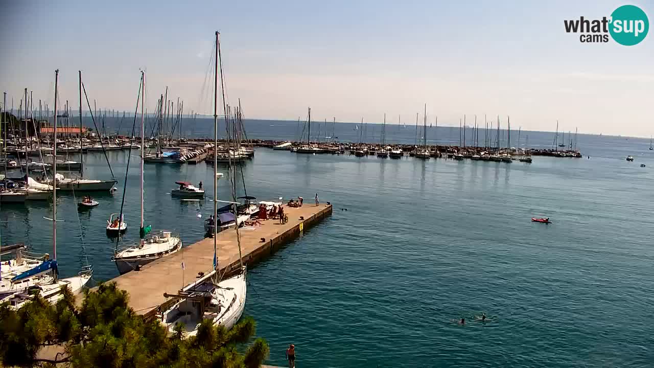 Webcam Bahía de Sistiana – Vista en directo del puerto deportivo y la costa