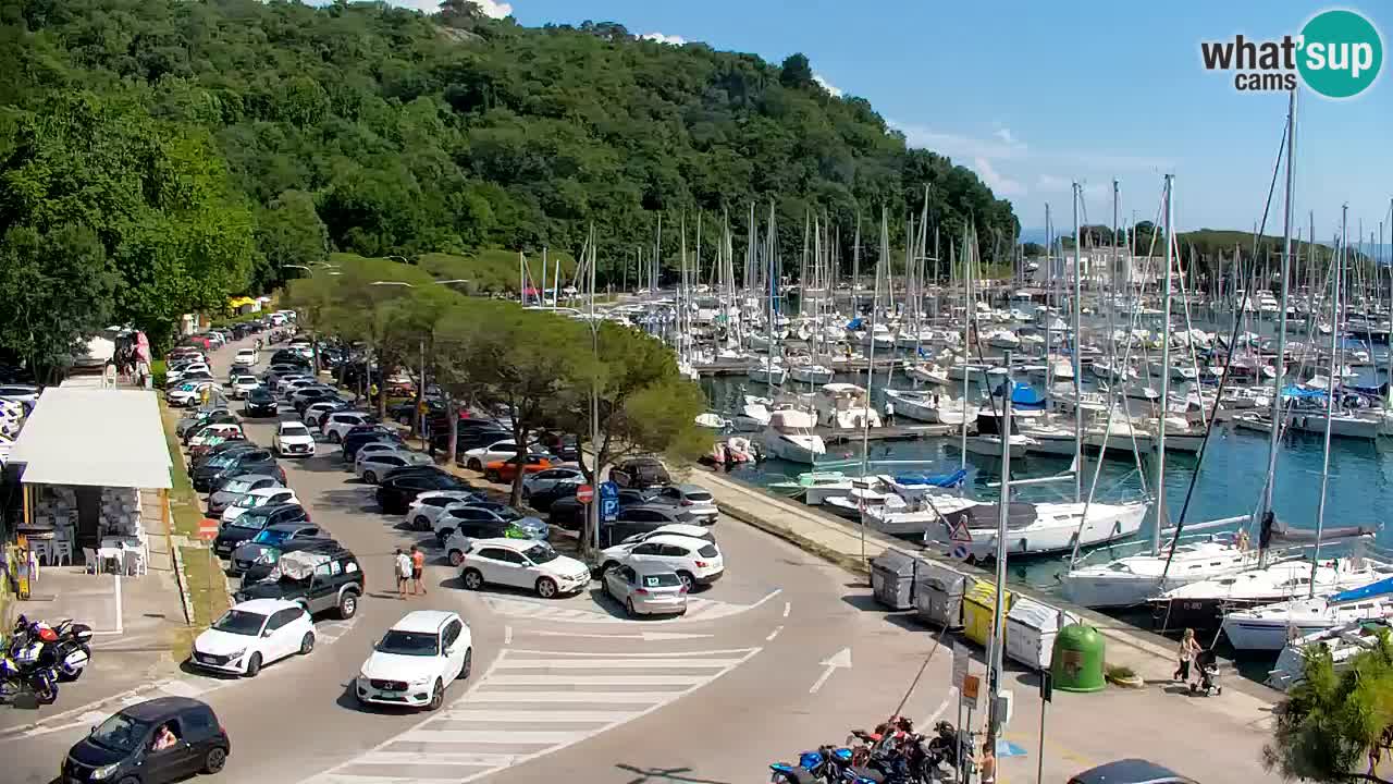 Spletna kamera Sesljanski zaliv – Pogled v živo na marino in zaliv