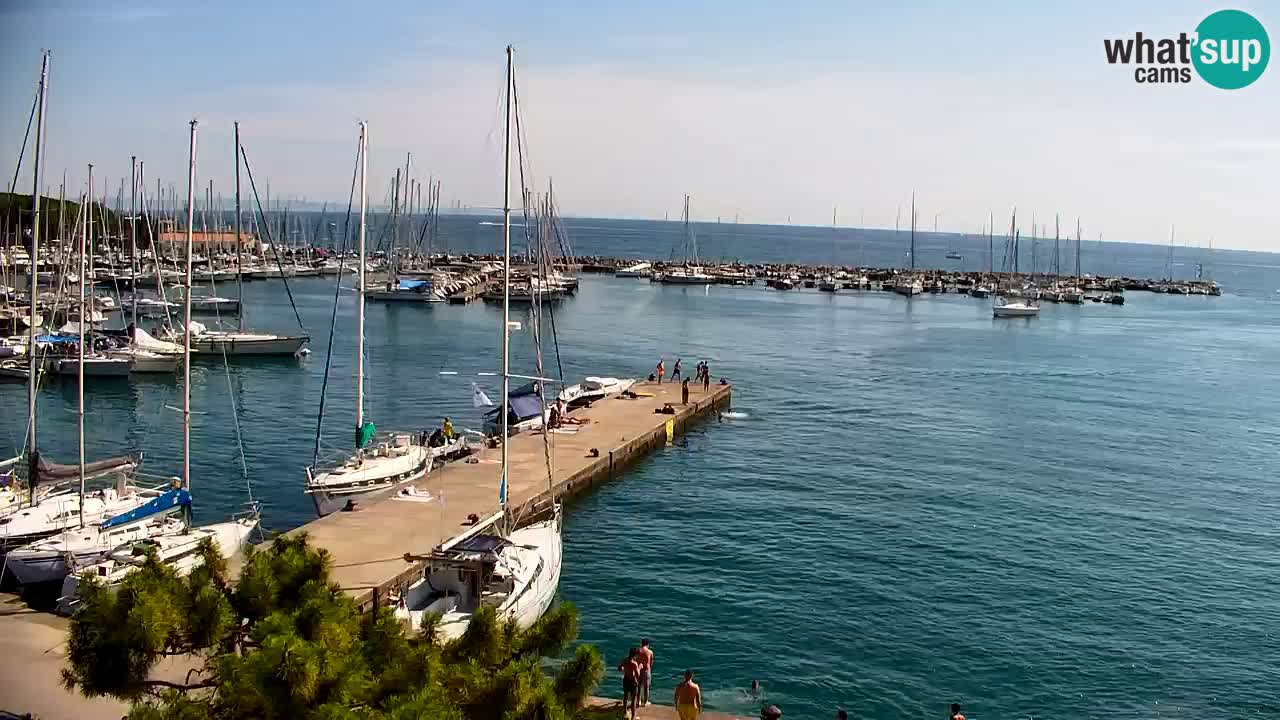 Spletna kamera Sesljanski zaliv – Pogled v živo na marino in zaliv