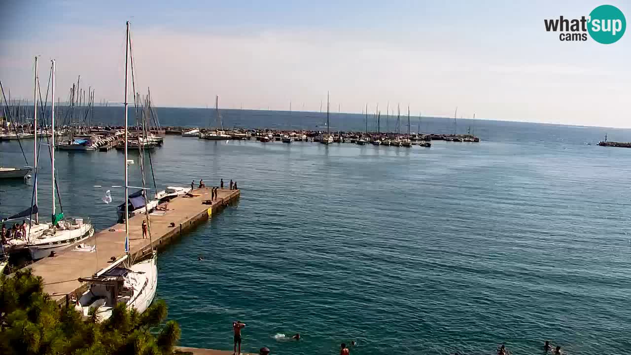 Webcam Bahía de Sistiana – Vista en directo del puerto deportivo y la costa