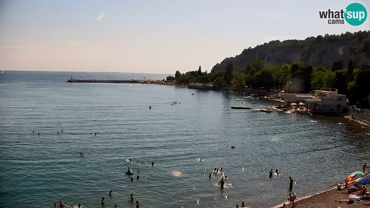 Webcam Sistiana Baia – Live View of the Marina and Gulf