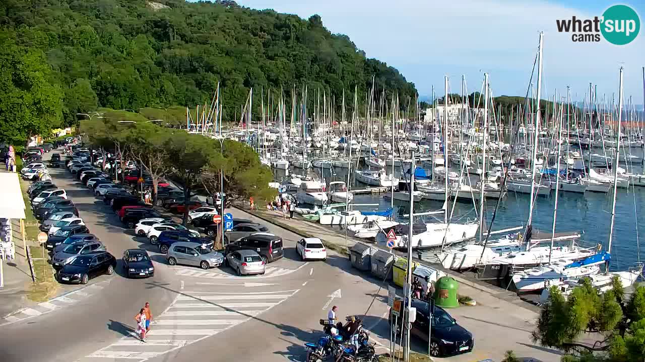 Webcam Sistiana Baia – Live View of the Marina and Gulf
