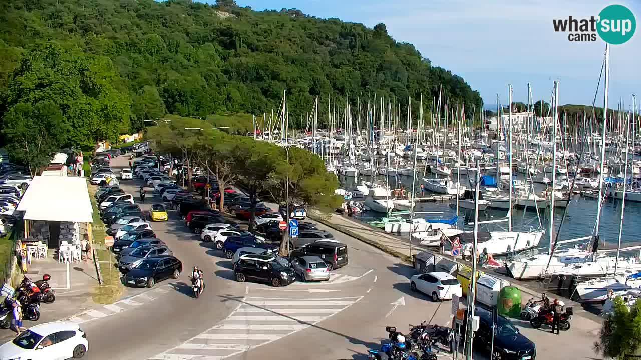 Webcam Sistiana Baia – Live View of the Marina and Gulf