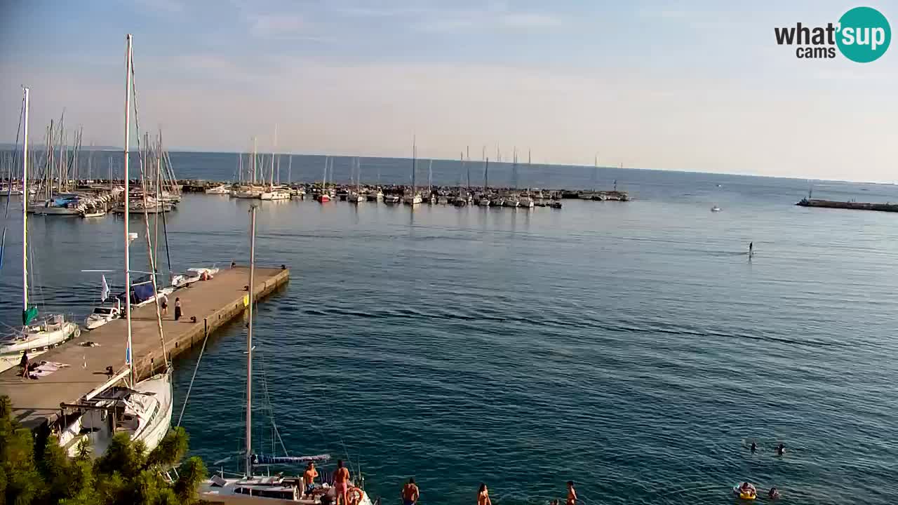 Spletna kamera Sesljanski zaliv – Pogled v živo na marino in zaliv