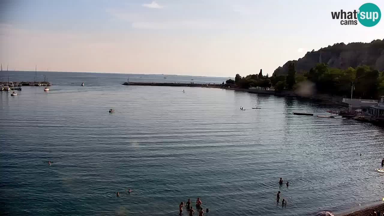 Webcam Bahía de Sistiana – Vista en directo del puerto deportivo y la costa