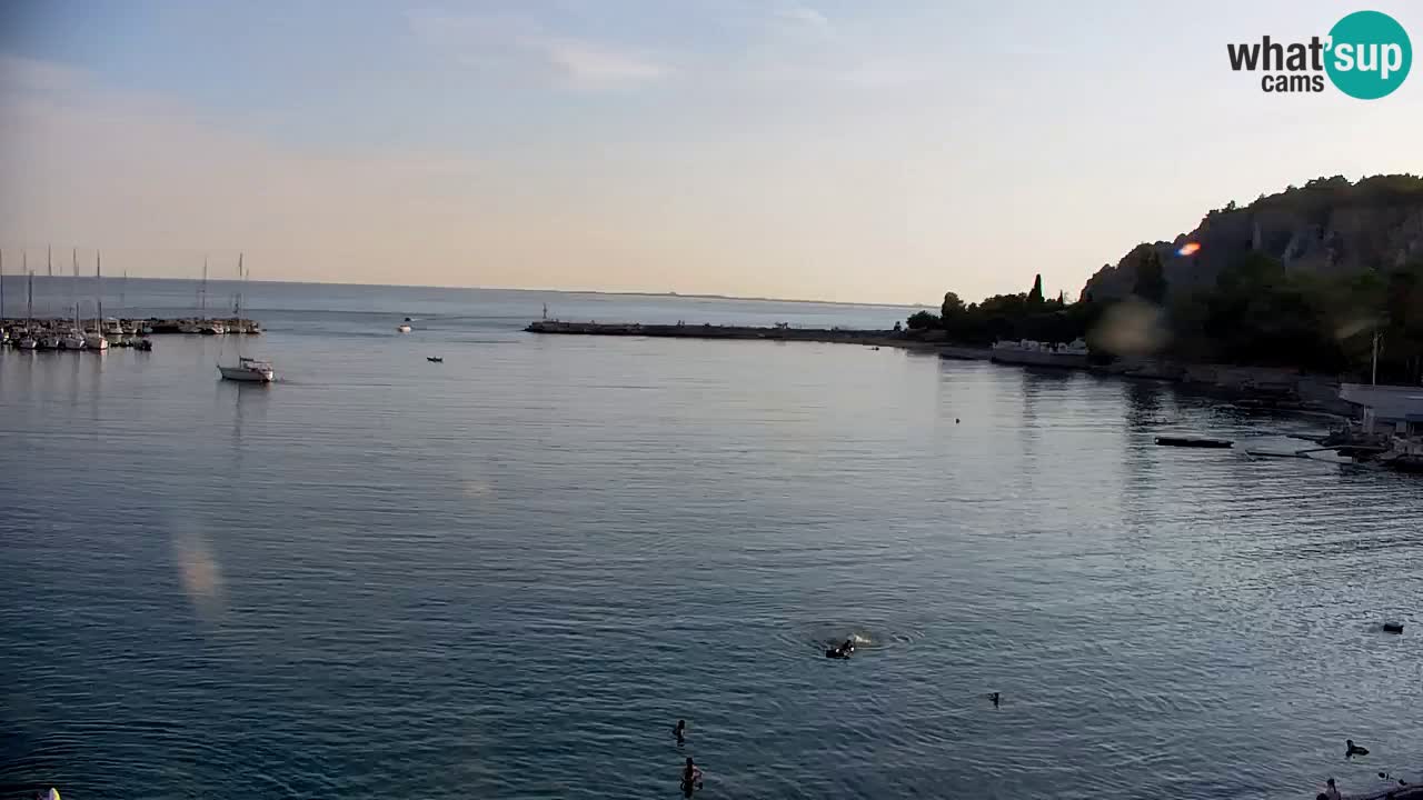 Webcam Sistiana Baia – Live View of the Marina and Gulf