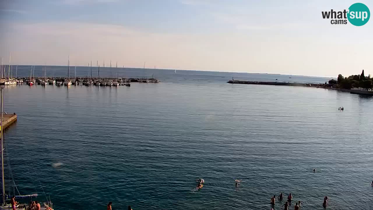 Webcam Sistiana Bucht – Liveblick auf Marina und Bucht