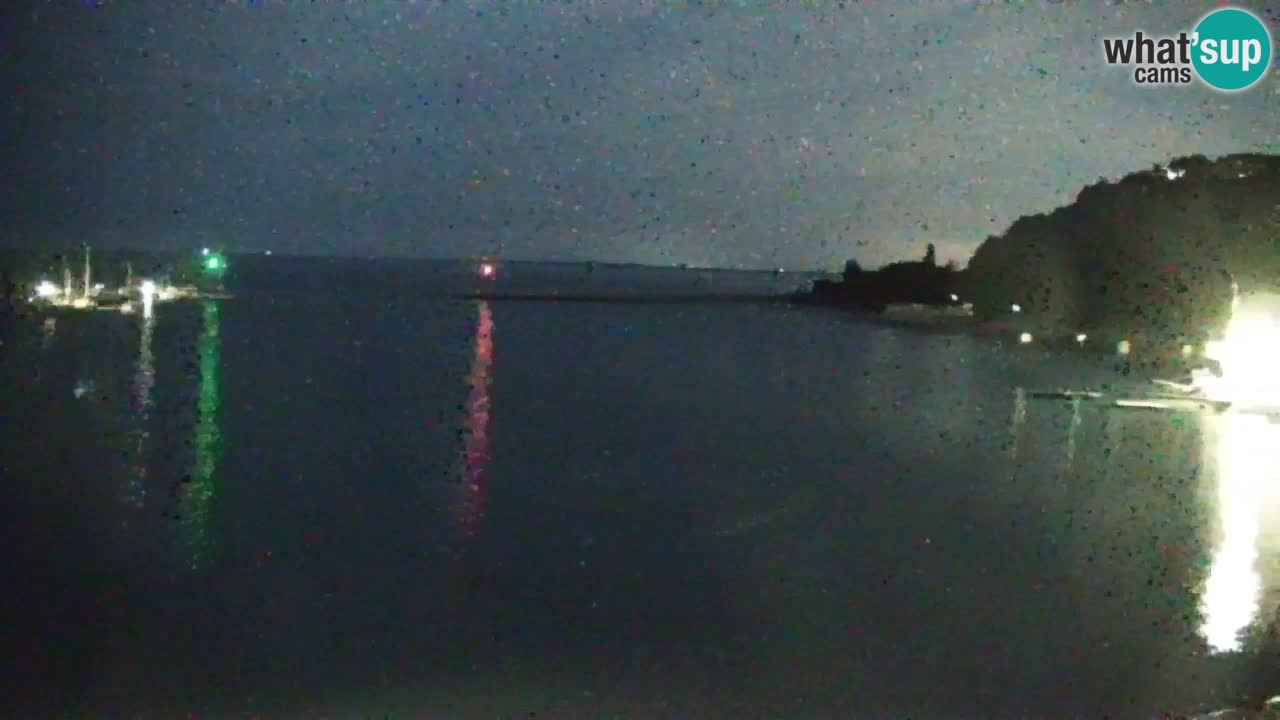 Spletna kamera Sesljanski zaliv – Pogled v živo na marino in zaliv
