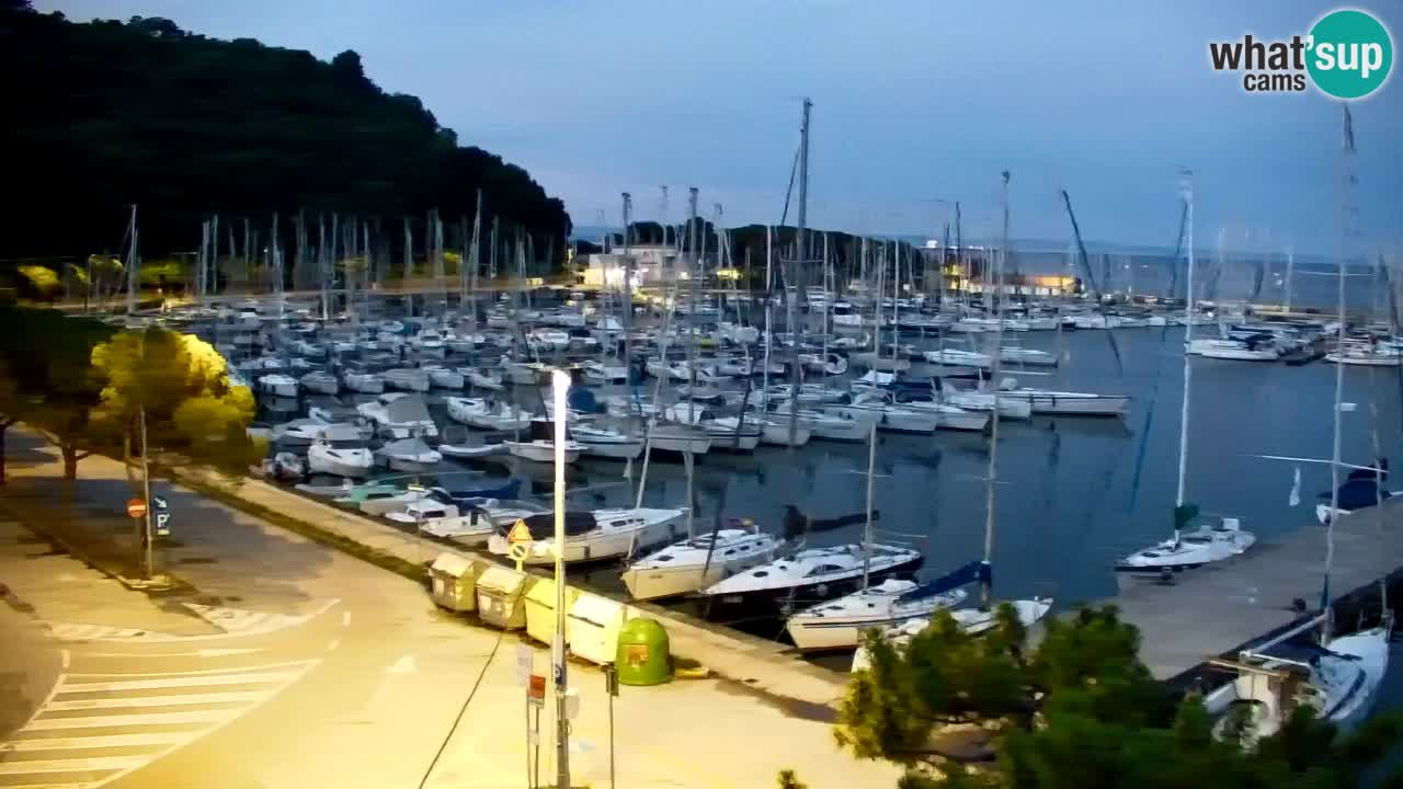 Webcam Baia di Sistiana – Marina e Golfo in diretta