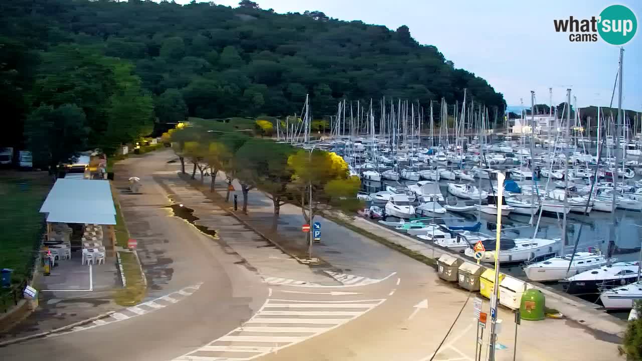 Webcam Baie de Sistiana – Vue en direct de la marina et de la baie