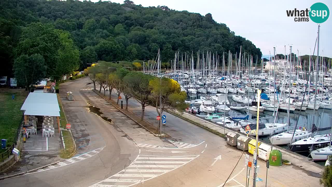 Webcam Sistiana Baia – Live View of the Marina and Gulf