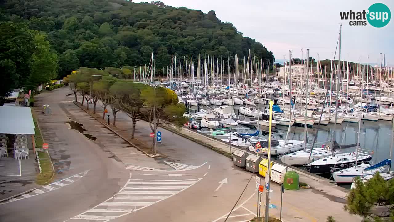Webcam Baia di Sistiana – Marina e Golfo in diretta