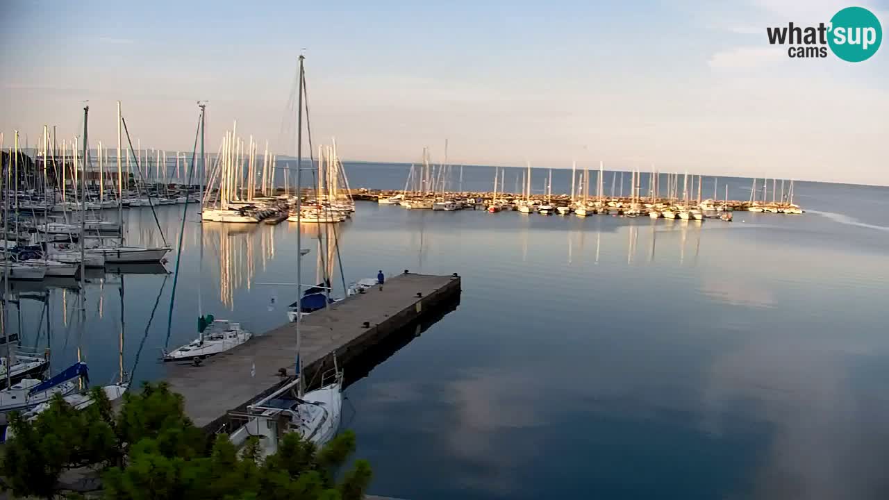 Spletna kamera Sesljanski zaliv – Pogled v živo na marino in zaliv