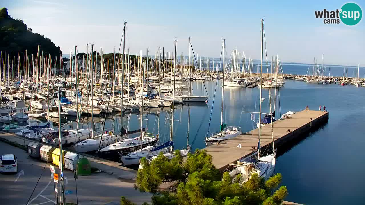 Webcam Sistiana Baia – Live View of the Marina and Gulf