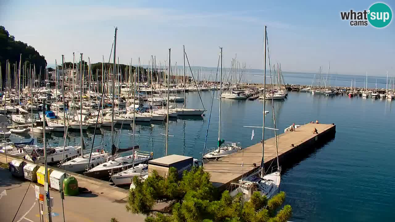 Webcam Sistiana Baia – Live View of the Marina and Gulf