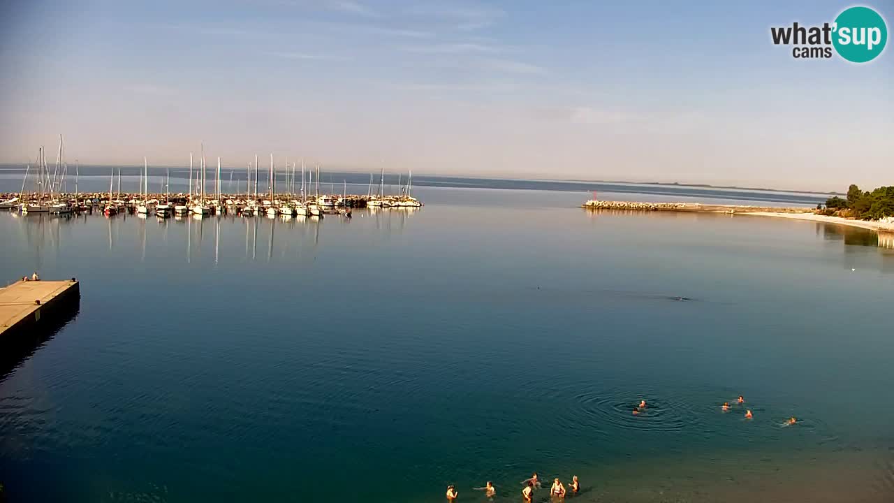 Webcam Baie de Sistiana – Vue en direct de la marina et de la baie