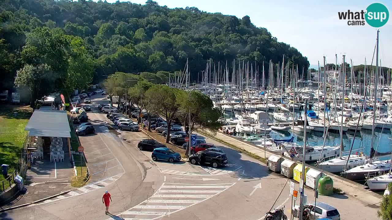 Webcam Sistiana Baia – Live View of the Marina and Gulf