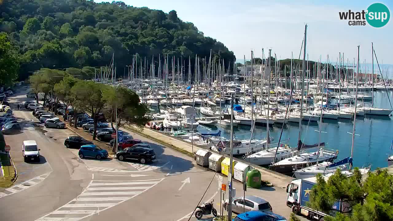 Webcam Sistiana Baia – Live View of the Marina and Gulf