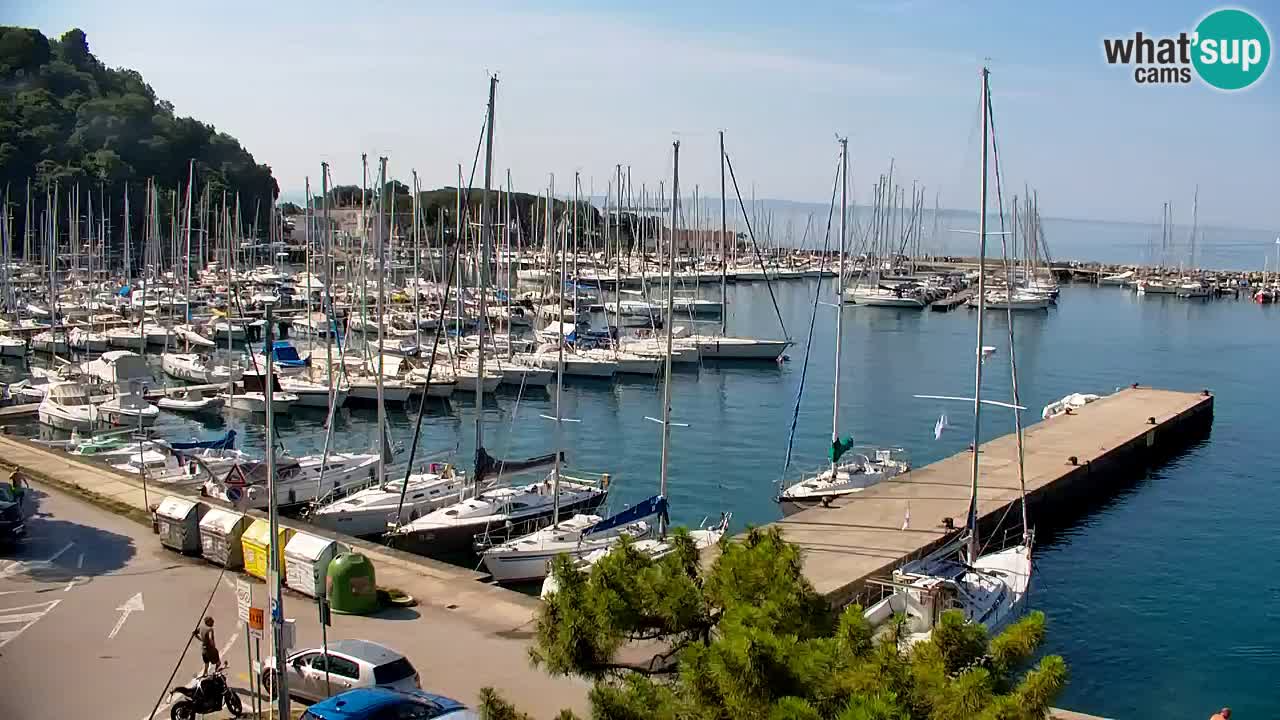 Webcam Sistiana Baia – Live View of the Marina and Gulf