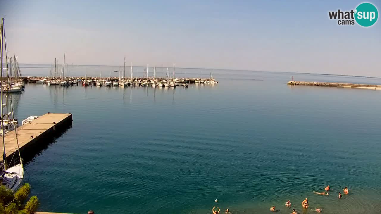 Webcam Sistiana Baia – Live View of the Marina and Gulf