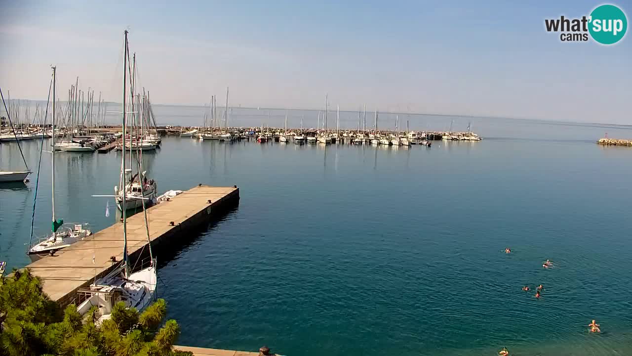 Webcam Sistiana Baia – Live View of the Marina and Gulf