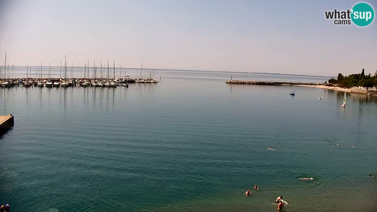 Webcam Bahía de Sistiana – Vista en directo del puerto deportivo y la costa