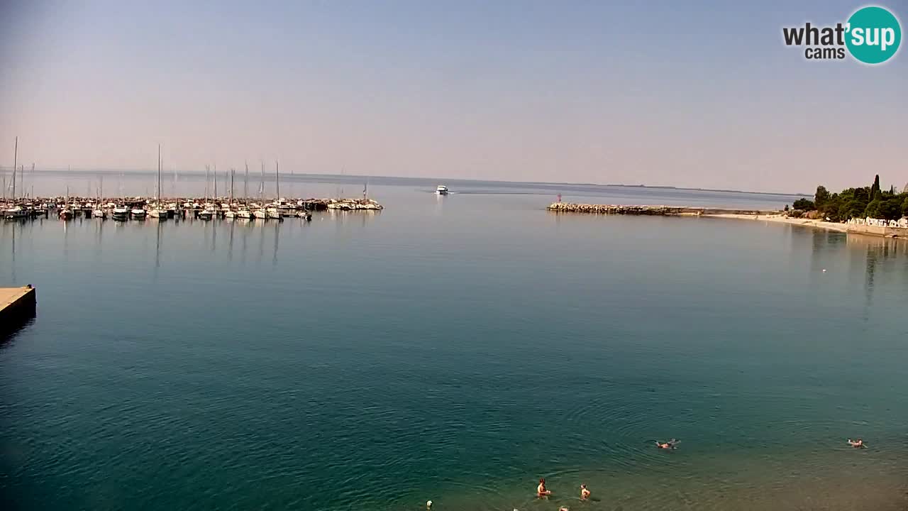 Webcam Sistiana Bucht – Liveblick auf Marina und Bucht