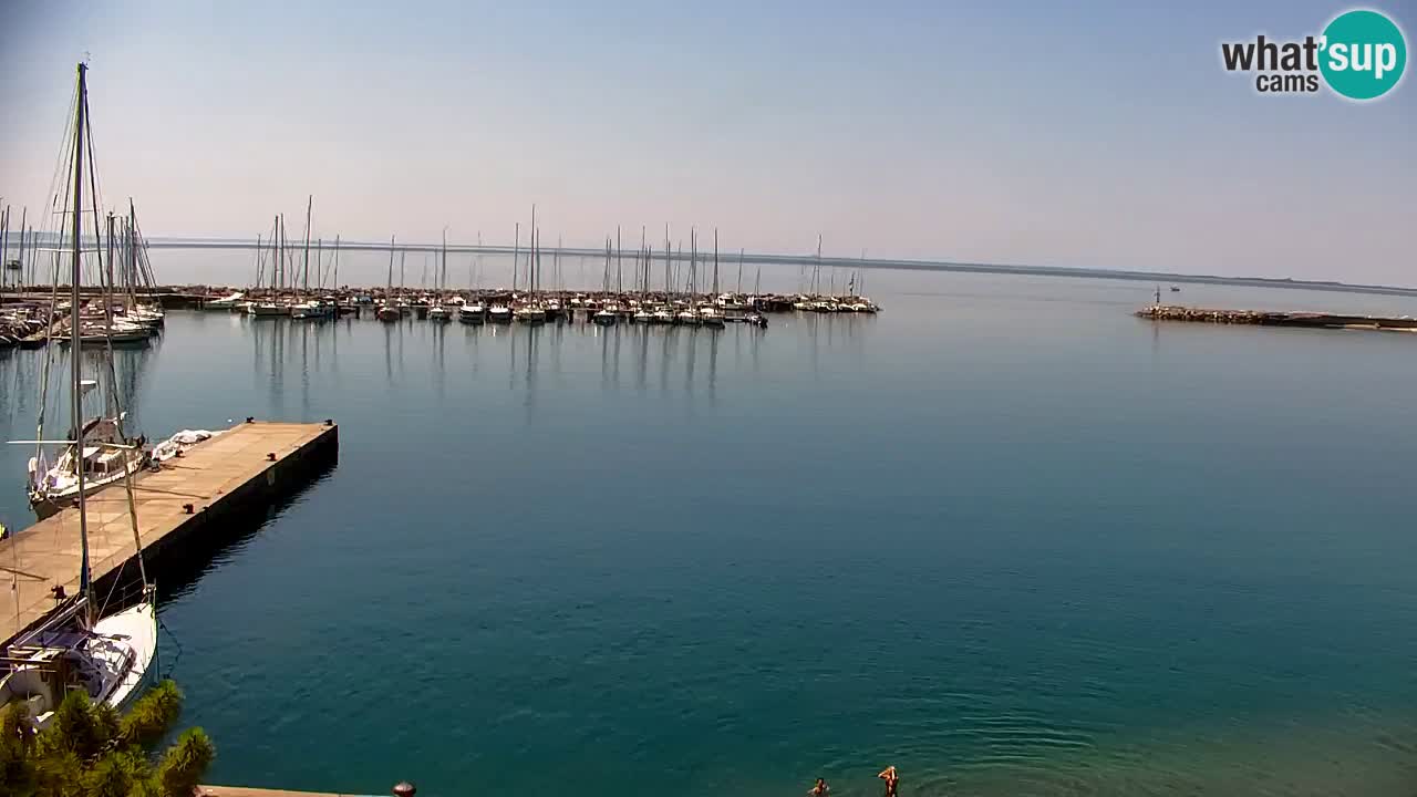 Webcam Bahía de Sistiana – Vista en directo del puerto deportivo y la costa