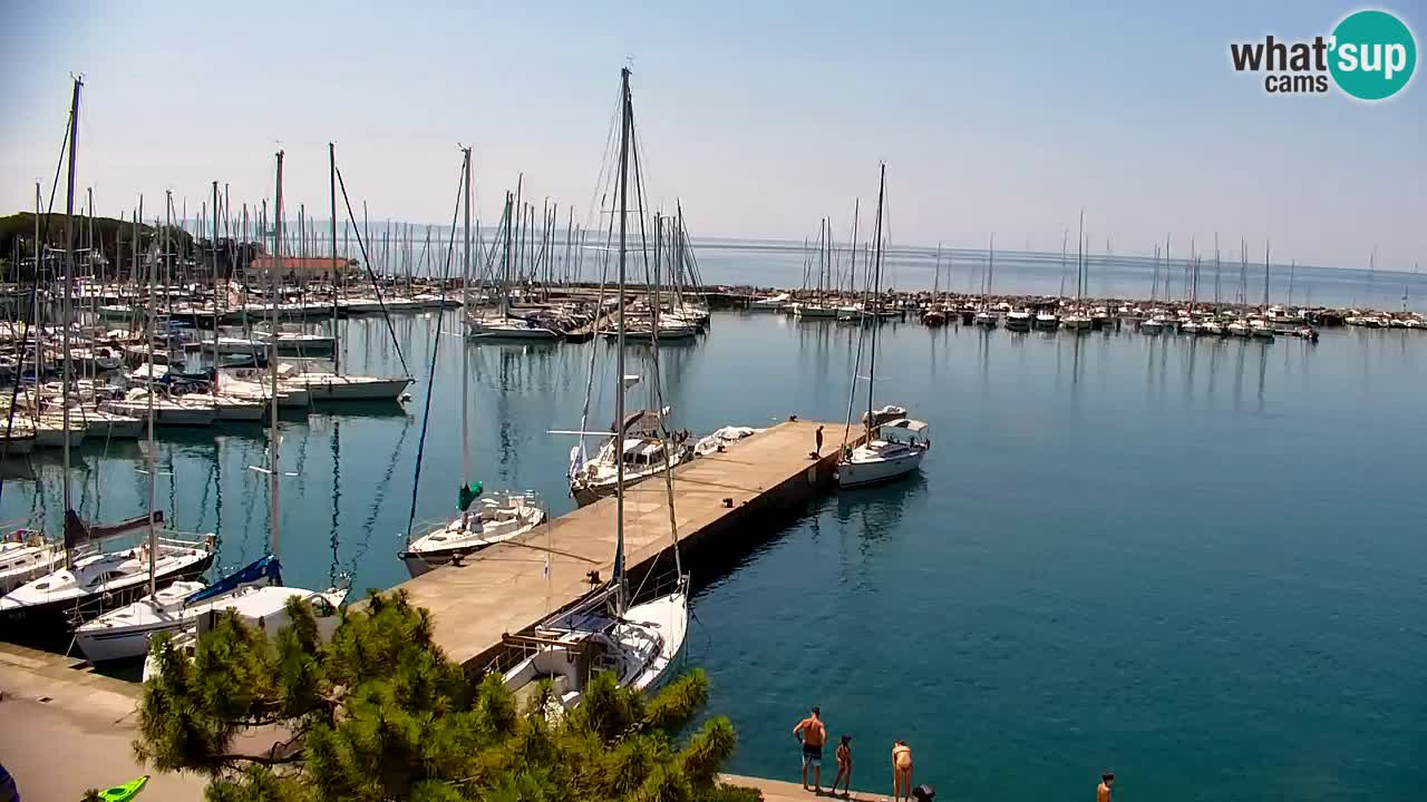 Webcam Sistiana Baia – Live View of the Marina and Gulf