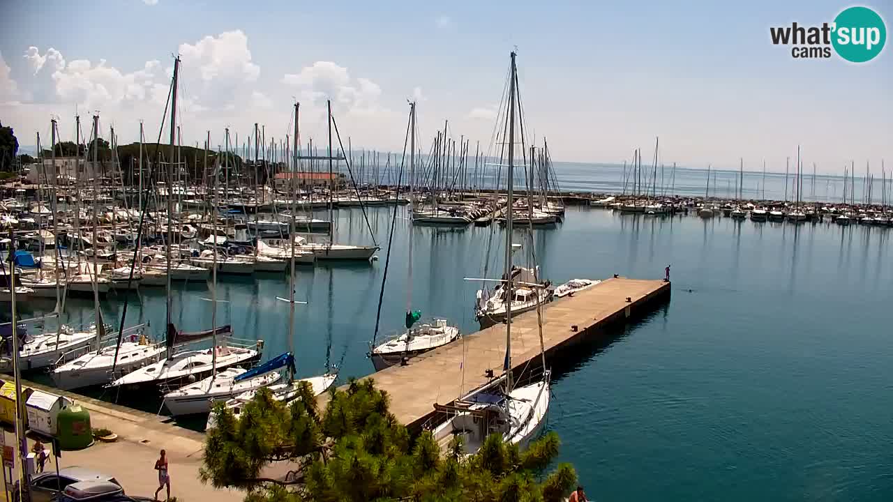 Webcam Sistiana Baia – Live View of the Marina and Gulf