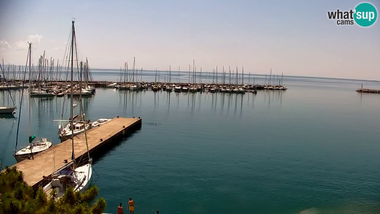 Webcam Bahía de Sistiana – Vista en directo del puerto deportivo y la costa