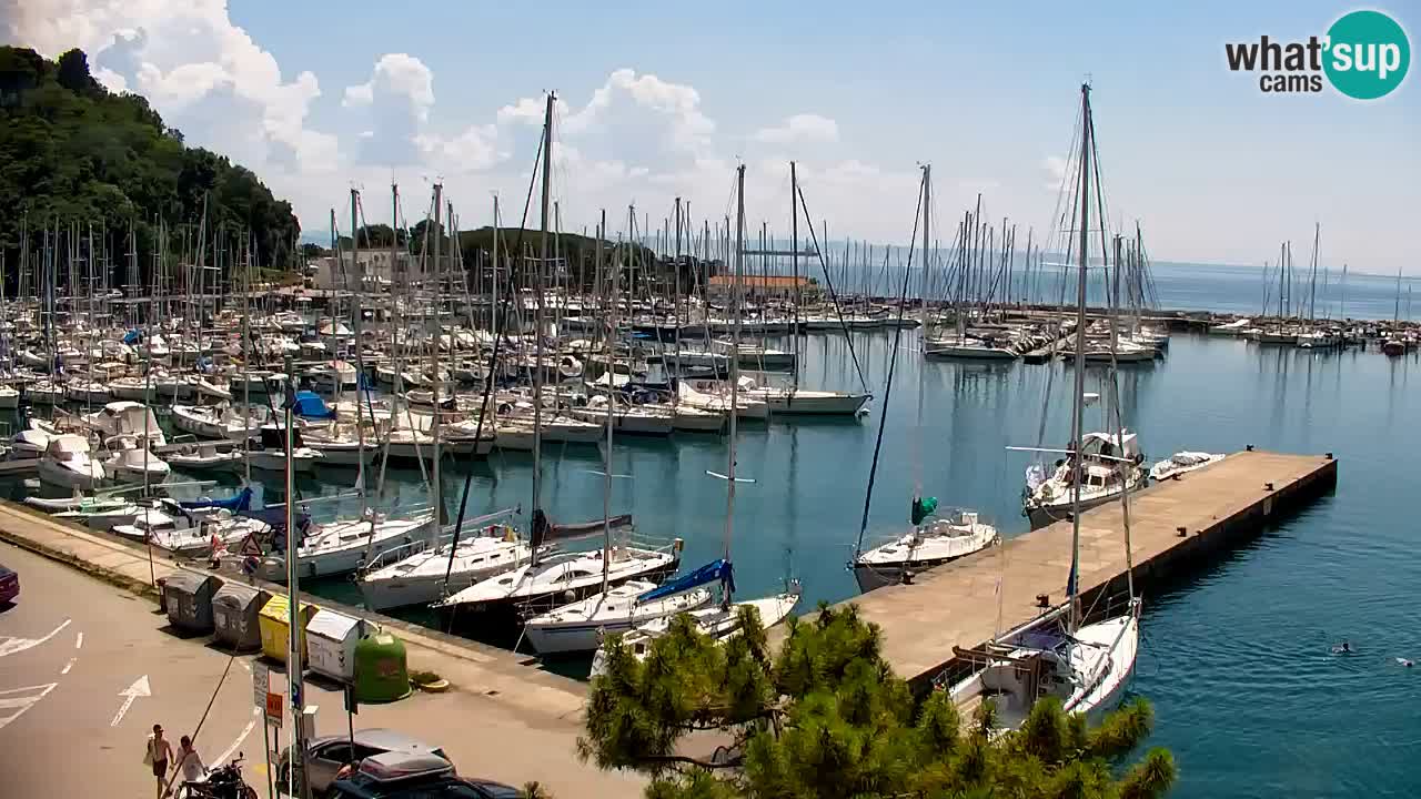 Webcam Bahía de Sistiana – Vista en directo del puerto deportivo y la costa