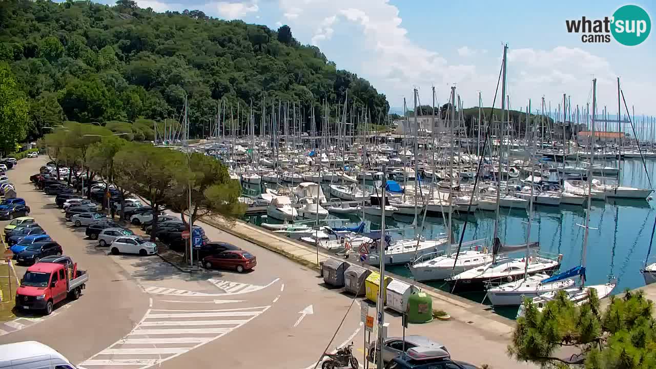 Webcam Bahía de Sistiana – Vista en directo del puerto deportivo y la costa