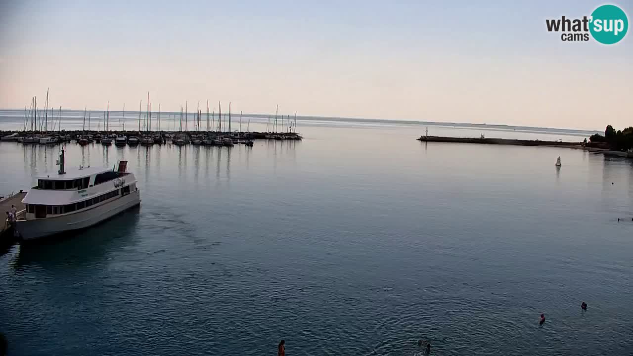 Webcam Sistiana Baia – Live View of the Marina and Gulf