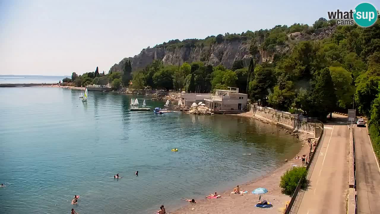 Spletna kamera Sesljanski zaliv – Pogled v živo na marino in zaliv