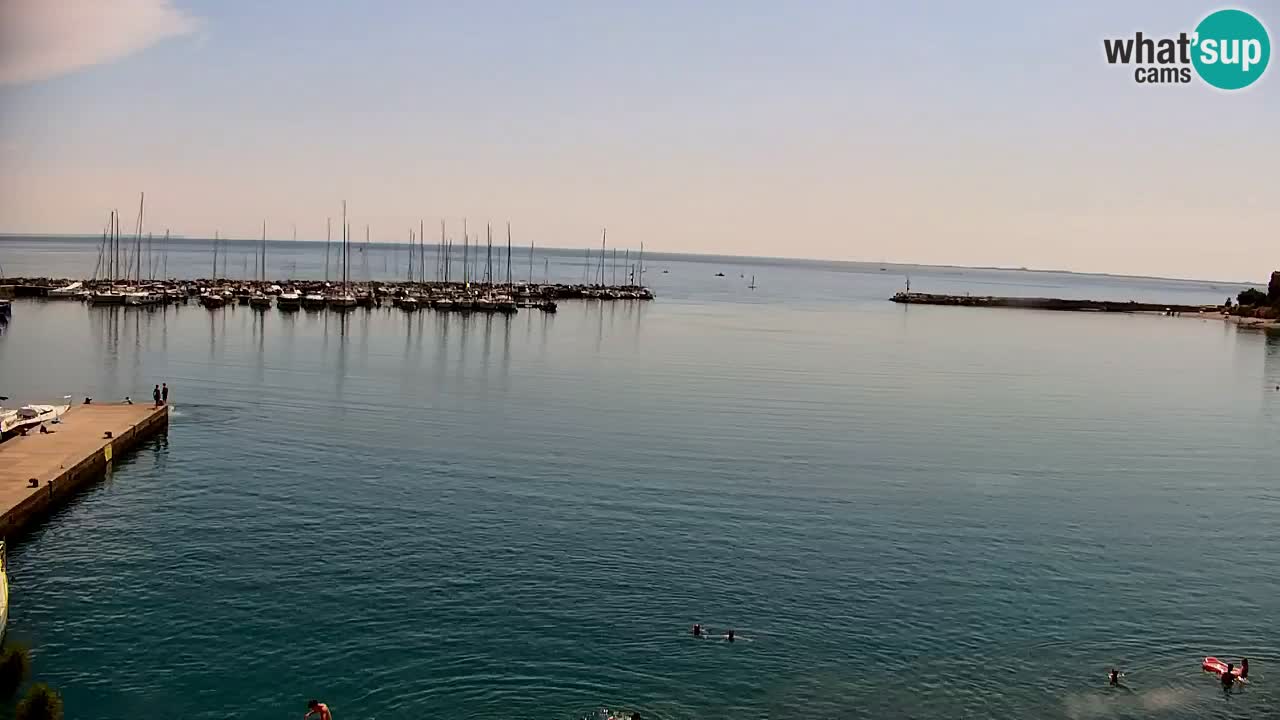 Spletna kamera Sesljanski zaliv – Pogled v živo na marino in zaliv