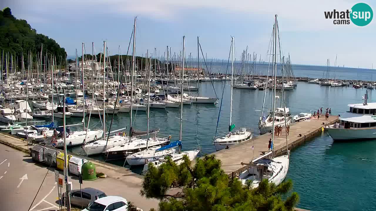 Webcam Sistiana Baia – Live View of the Marina and Gulf