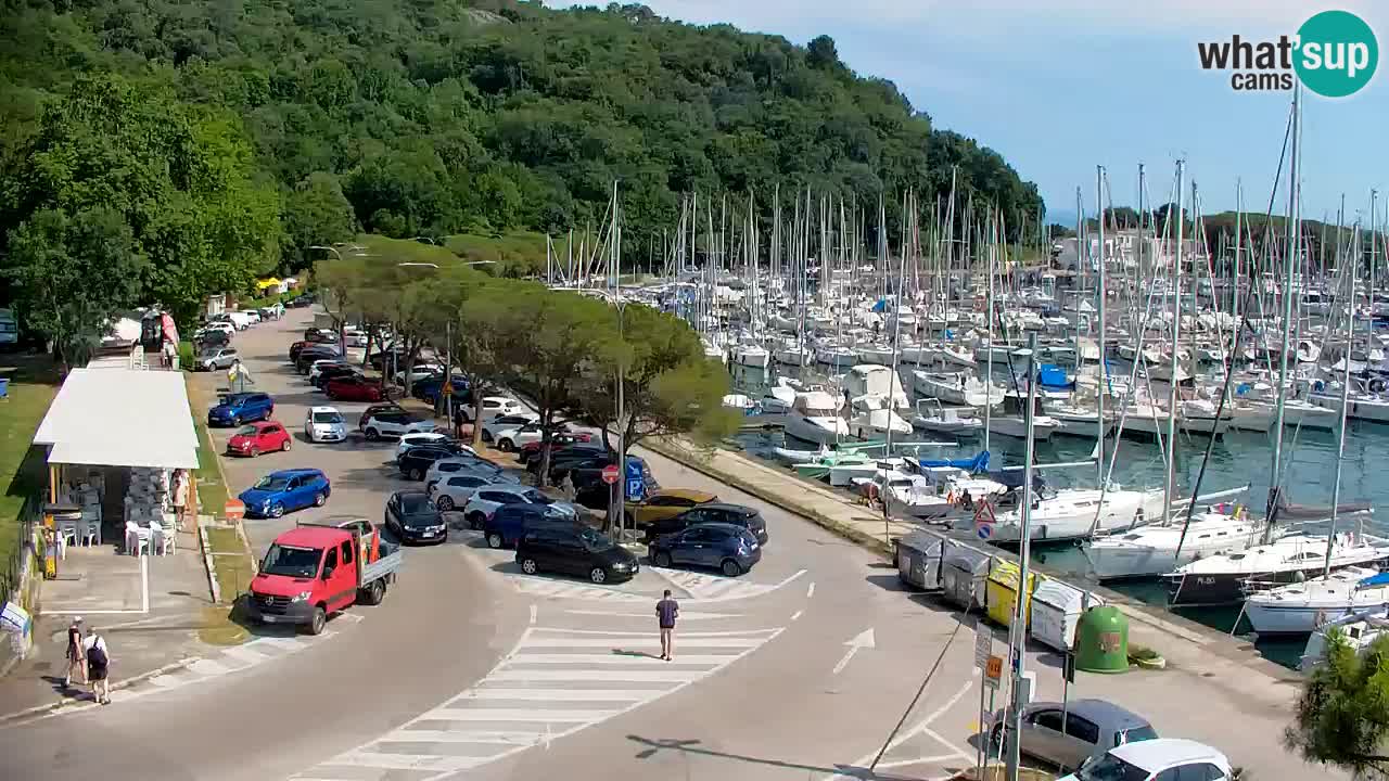 Webcam Bahía de Sistiana – Vista en directo del puerto deportivo y la costa