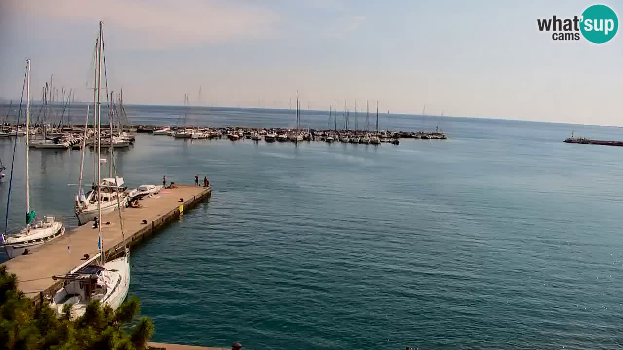 Webcam Bahía de Sistiana – Vista en directo del puerto deportivo y la costa